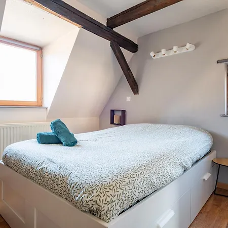 Le Nid Alsacien - Centre - Proche Parking Gratuit - Commerces A Proximite Accommodatie bij particulieren *