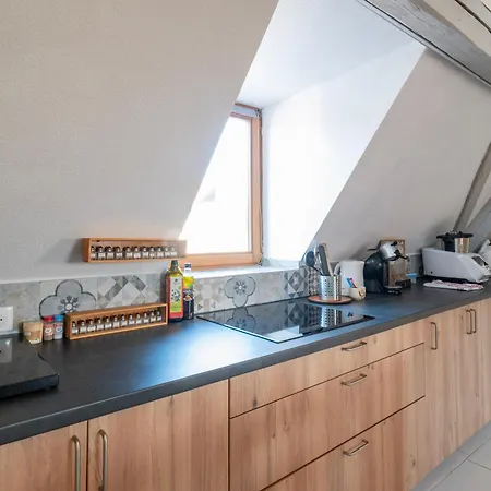 Le Nid Alsacien - Centre - Proche Parking Gratuit - Commerces A Proximite Accommodatie bij particulieren Erstein