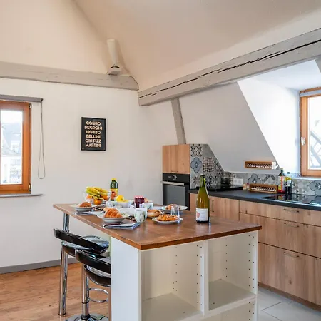 Le Nid Alsacien - Centre Ville - Proche Parking Gratuit - Commerces A Proximite