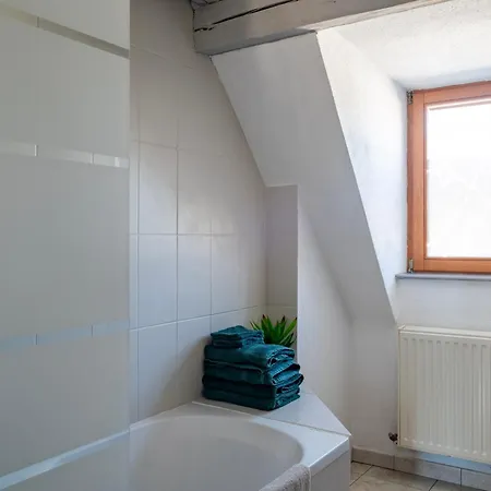 בית אירוח Le Nid Alsacien - Centre Ville - Proche Parking Gratuit - Commerces A Proximite