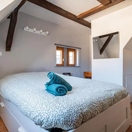 Accommodatie bij particulieren Le Nid Alsacien - Centre - Proche Parking Gratuit - Commerces A Proximite *