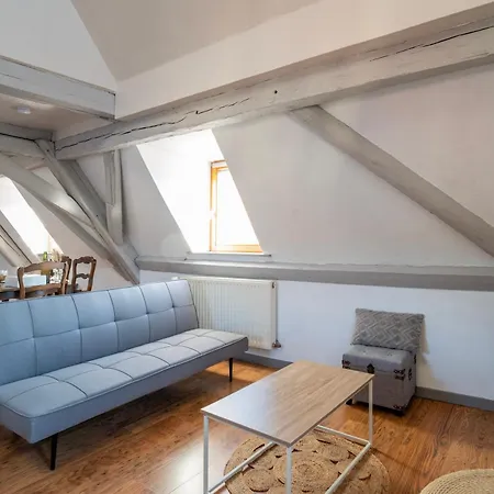 Le Nid Alsacien - Centre - Proche Parking Gratuit - Commerces A Proximite