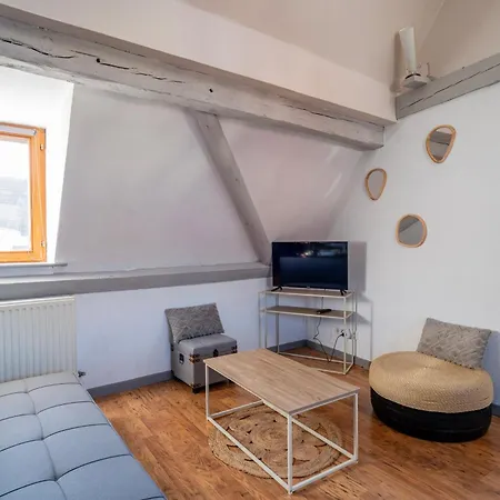 Le Nid Alsacien - Centre - Proche Parking Gratuit - Commerces A Proximite Accommodatie bij particulieren