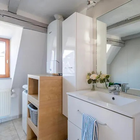 Le Nid Alsacien - Centre Ville - Proche Parking Gratuit - Commerces A Proximite ארשטיין