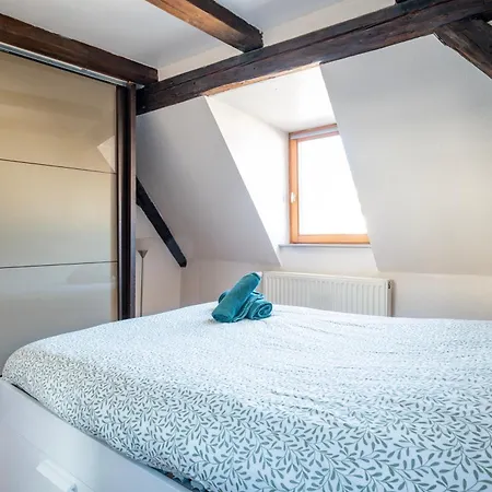 Le Nid Alsacien - Centre - Proche Parking Gratuit - Commerces A Proximite Accommodatie bij particulieren