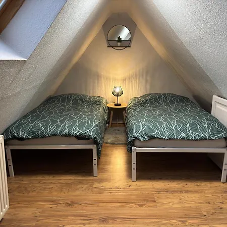 Le Nid Alsacien - Centre - Proche Parking Gratuit - Commerces A Proximite Erstein