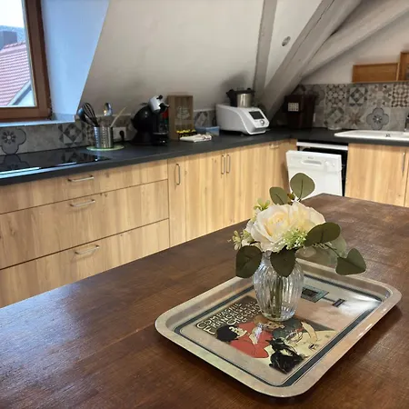 Le Nid Alsacien - Centre - Proche Parking Gratuit - Commerces A Proximite * Erstein