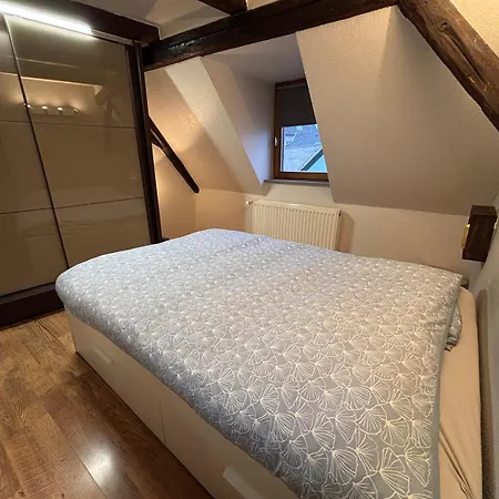 Le Nid Alsacien - Centre - Proche Parking Gratuit - Commerces A Proximite