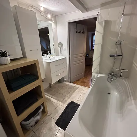 Accommodatie bij particulieren Le Nid Alsacien - Centre - Proche Parking Gratuit - Commerces A Proximite