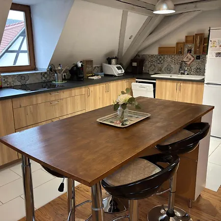 Accommodatie bij particulieren Le Nid Alsacien - Centre - Proche Parking Gratuit - Commerces A Proximite *