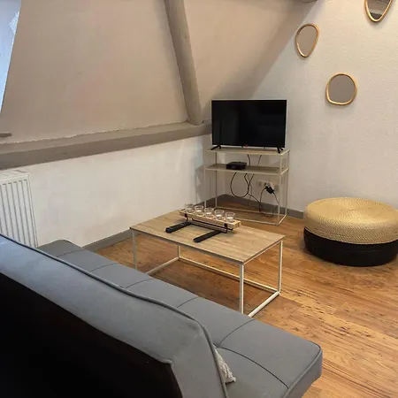 Le Nid Alsacien - Centre - Proche Parking Gratuit - Commerces A Proximite Accommodatie bij particulieren Erstein