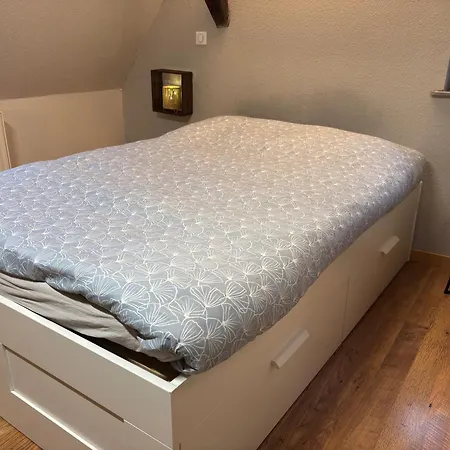 Le Nid Alsacien - Centre - Proche Parking Gratuit - Commerces A Proximite Accommodatie bij particulieren *