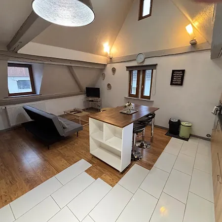 Le Nid Alsacien - Centre - Proche Parking Gratuit - Commerces A Proximite Accommodatie bij particulieren *