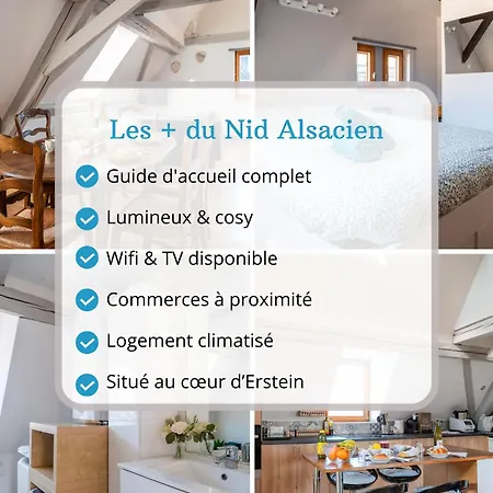 Le Nid Alsacien - Centre - Proche Parking Gratuit - Commerces A Proximite *