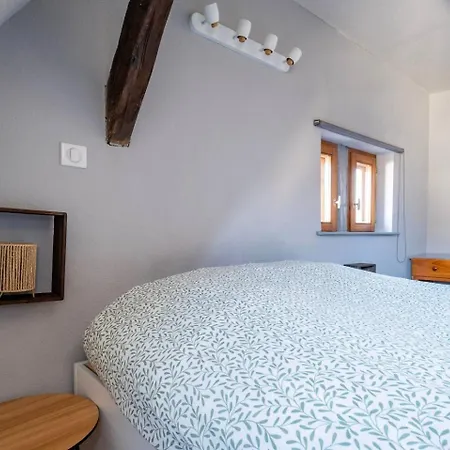 Accommodatie bij particulieren Le Nid Alsacien - Centre - Proche Parking Gratuit - Commerces A Proximite