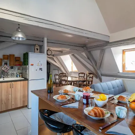 Accommodatie bij particulieren Le Nid Alsacien - Centre - Proche Parking Gratuit - Commerces A Proximite